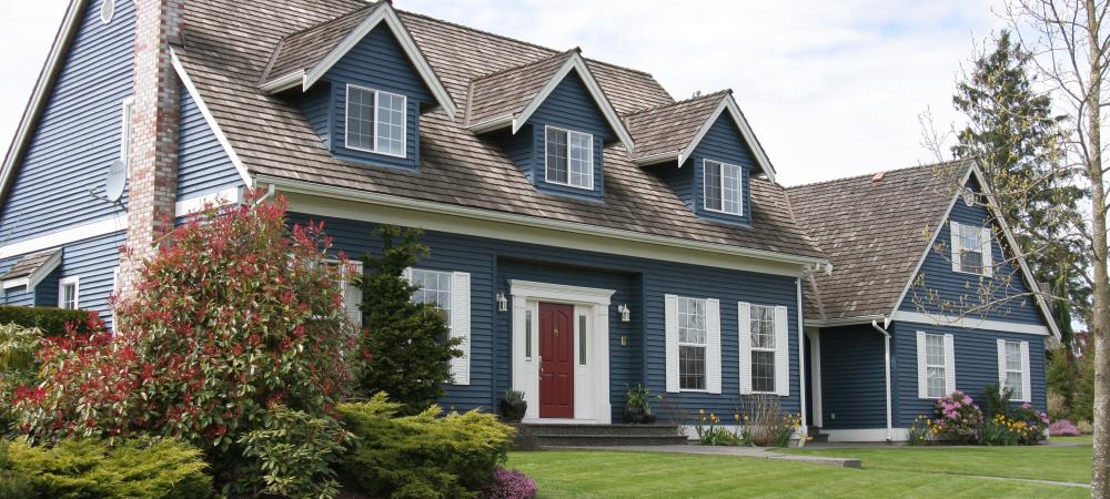 Blue house